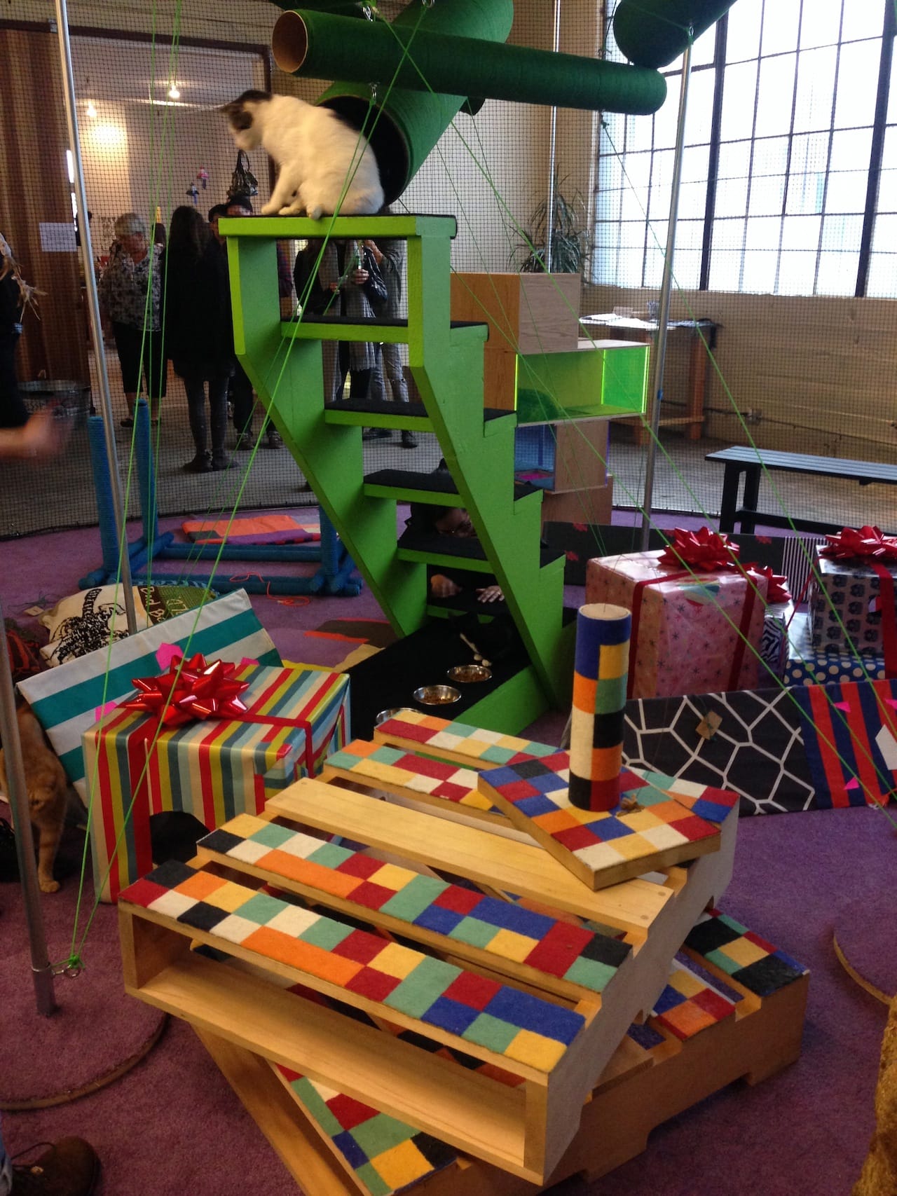 Cats-in-Residence at 356 Mission (all photos by the author)