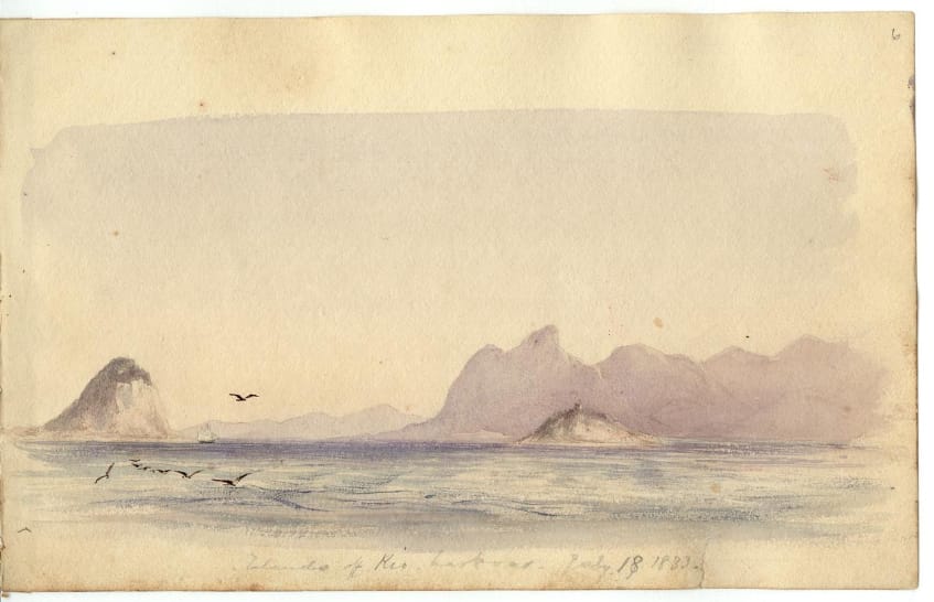 Page from Conrad Martens' Sketchbooks (1833-1835) (courtesy Cambridge University Library)