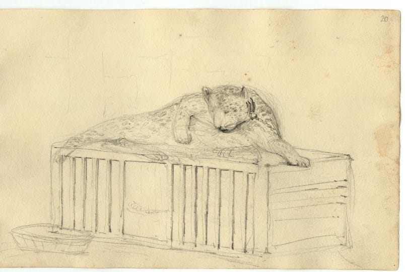 Page from Conrad Martens' Sketchbooks (1833-1835) (courtesy Cambridge University Library)