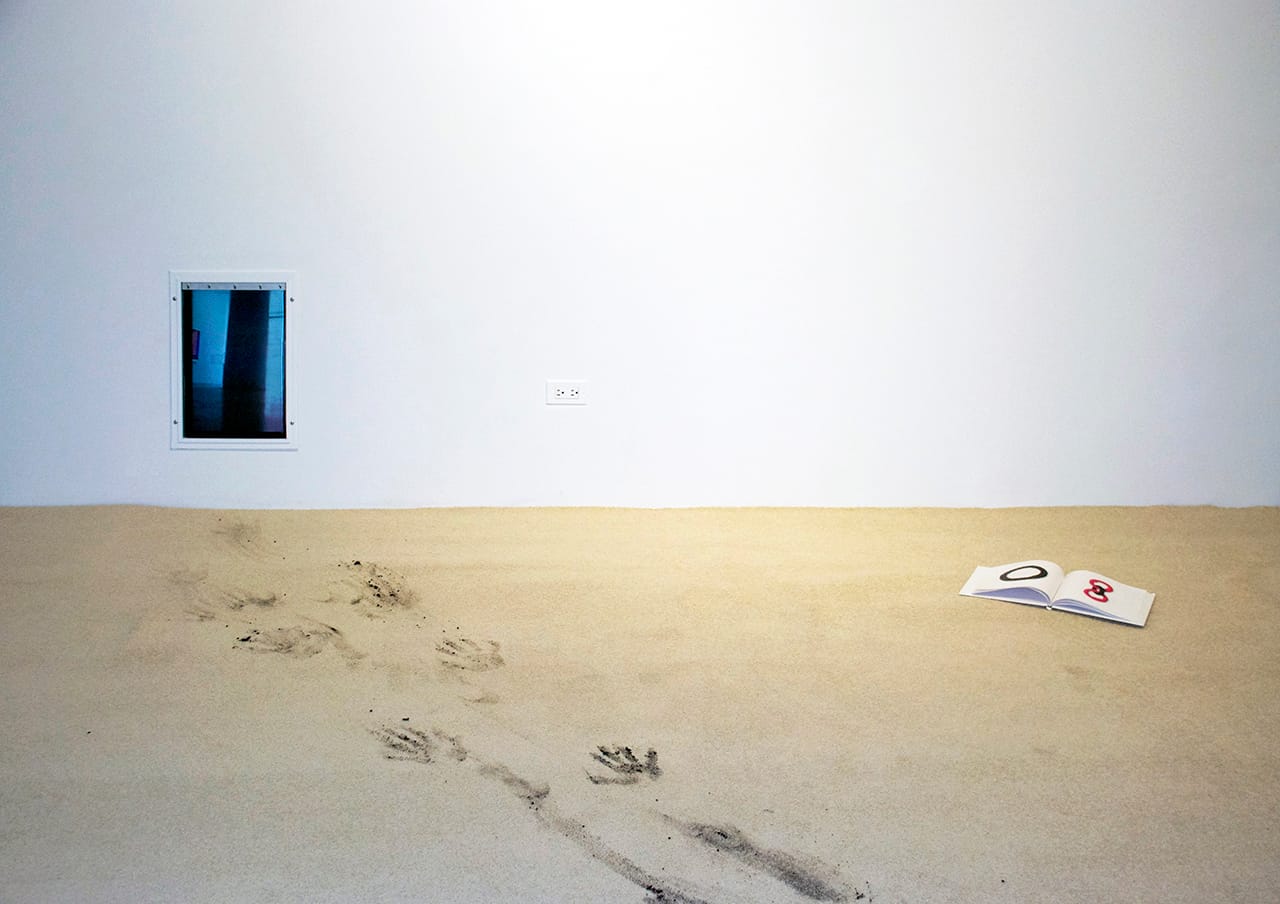 Installation view of Kat Schneider’s “Aesthetic Contemplation” (2013), Freedom™ brand aluminum pet door, single-channel video, 15.75 x 10.13 in, “Wipe Yr Paws” (2013), dirt on carpet, dimensions variable, and “TOYS” (2013), hardcover book, 8.5 x 8.5 in (photo by Andrew Birk)