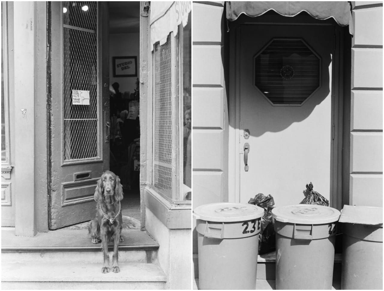 Roy Colmer, East 7th Street between 2nd Avenue and Cooper Square (1976)