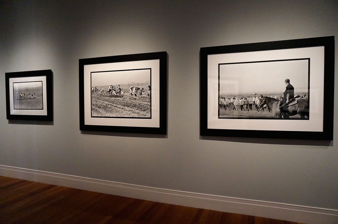 Installation view, 'Keith Calhoun & Chandra McCormick: Slavery, The Prison Industrial Complex' at the Ogden Museum (click to enlarge)