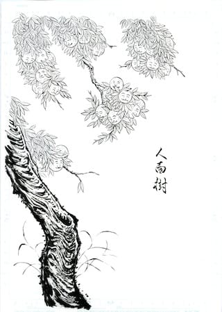 Ninmenju. Original illustration ny Shinonome Kijin