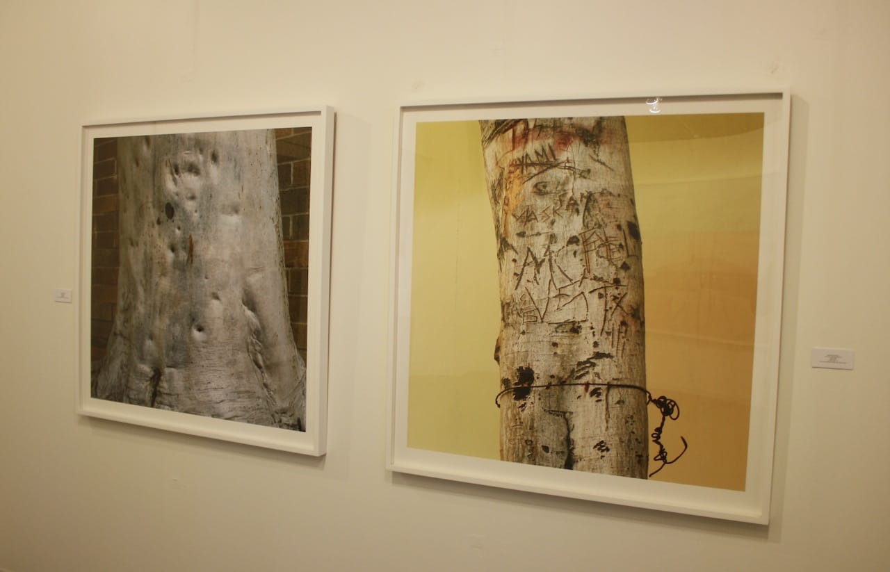 Work by Anthony Hernandez