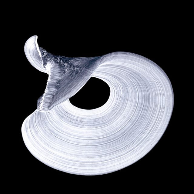 Najia Mehadji “Mystic Dance n°2” (2011)