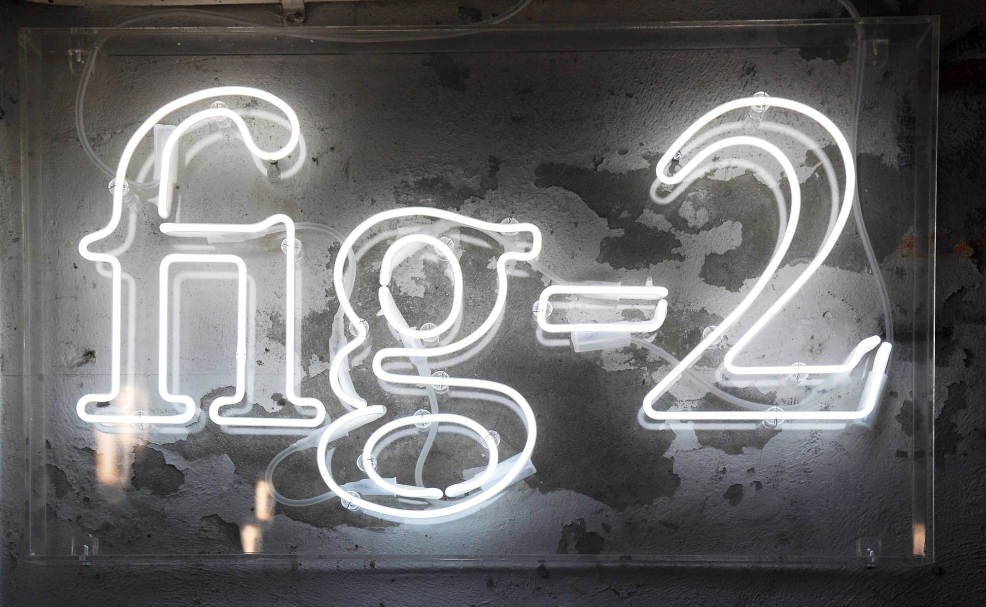 Photo Jessica Temple