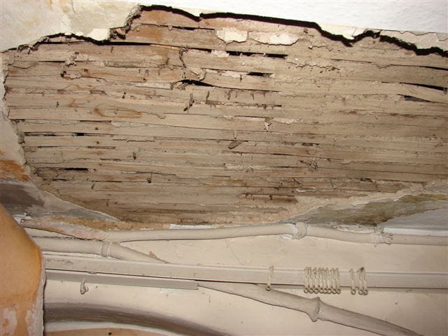 A crumbling ceiling (Image courtesy of Turner House Trust) 