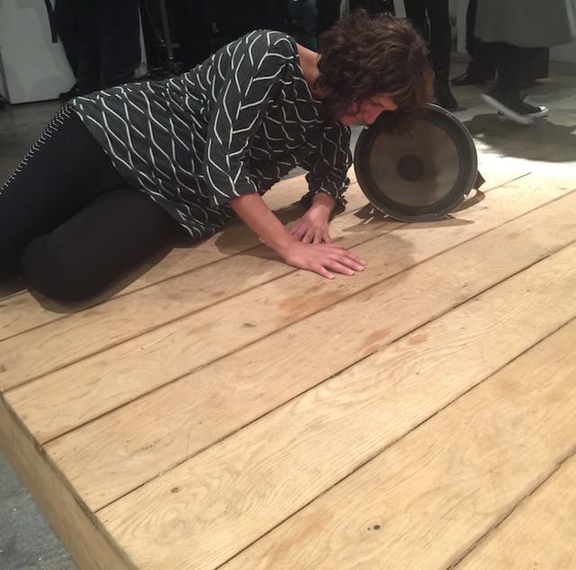 Daniel Neumann and Juan Betancurth, "Red Resonator" (2014) (as listened to by Regina Besha) (photo by author)