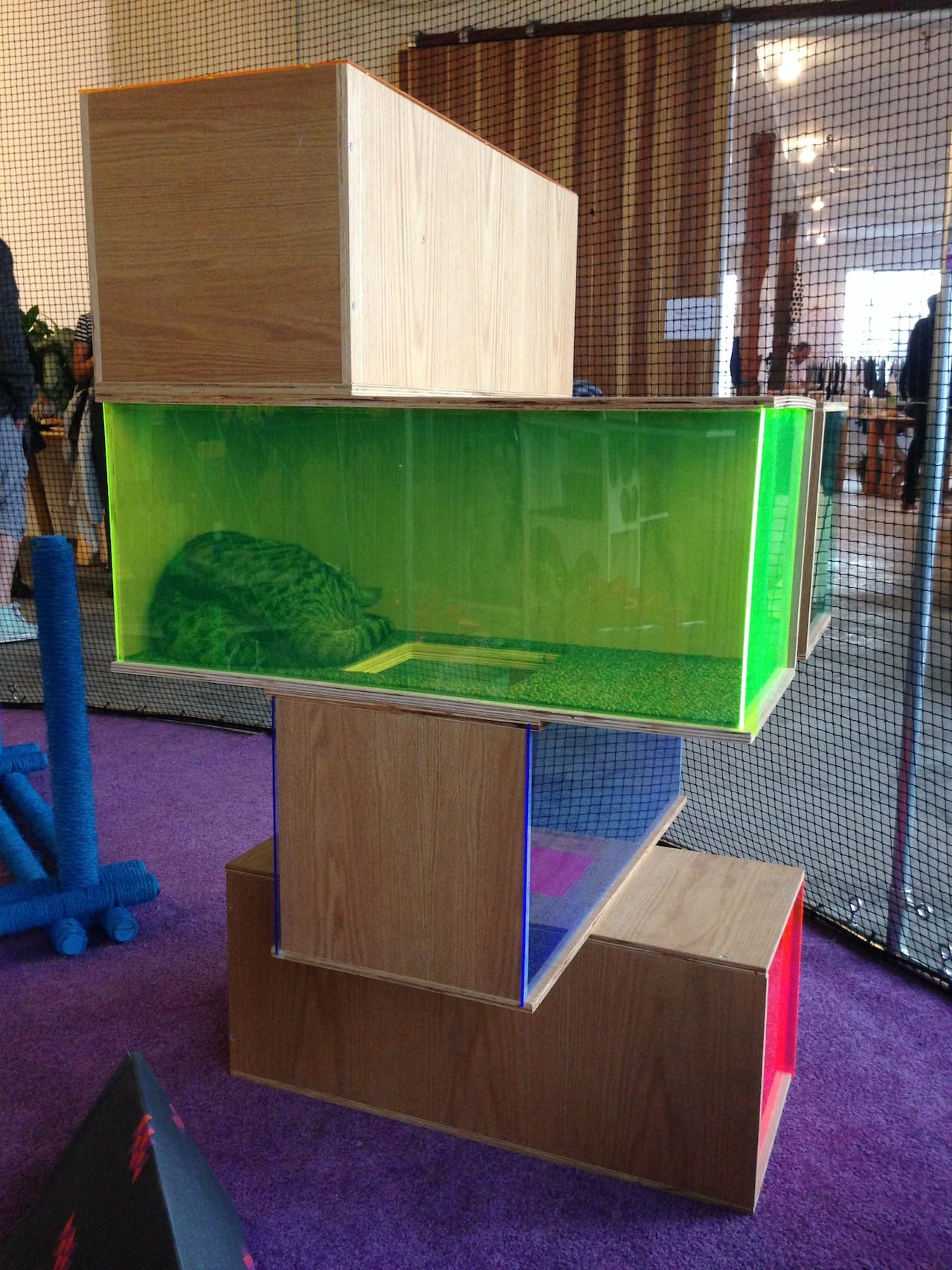 Sam Roeck, “Contemporary Art Sculpture for Cats #2” (2013)