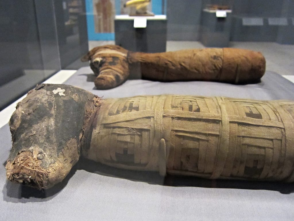 'Soulful Creatures: Animal Mummies in Ancient Egypt' at the Memphis Brooks Museum of Art