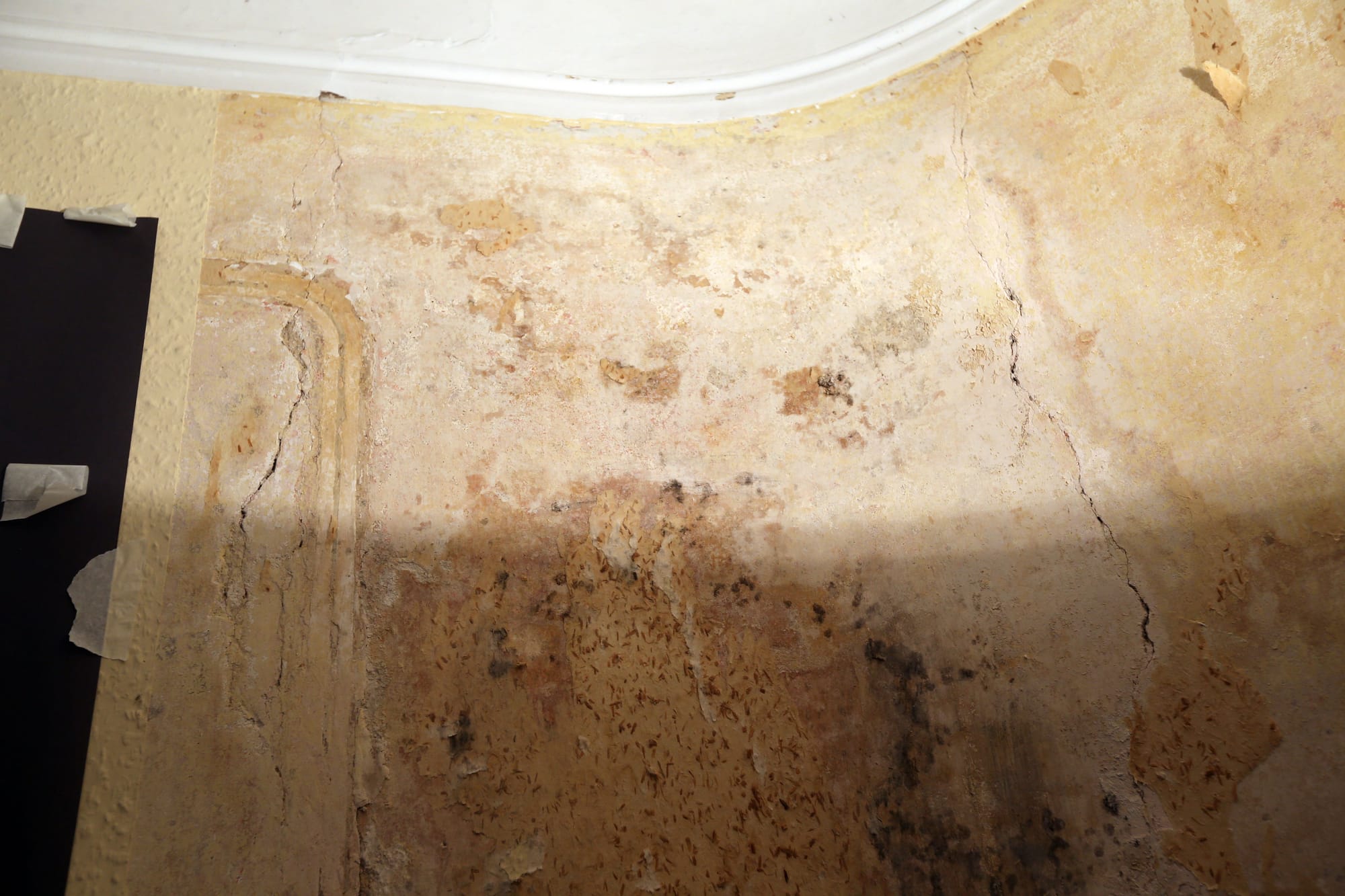 A cracked wall (Image courtesy of Turner House Trust) 