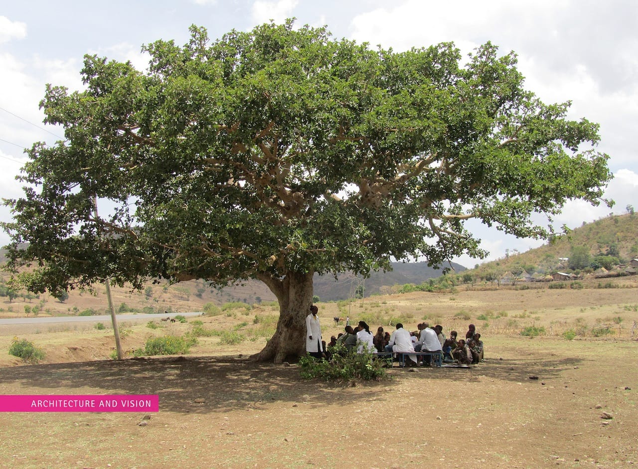 A Warka tree (image courtesy of Architecture and Vision) 
