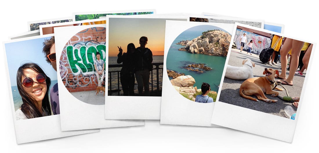 Courtesy of the White Album app.