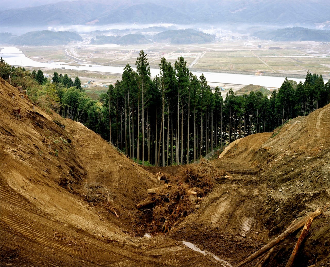 13. Hatakeyama Naoya