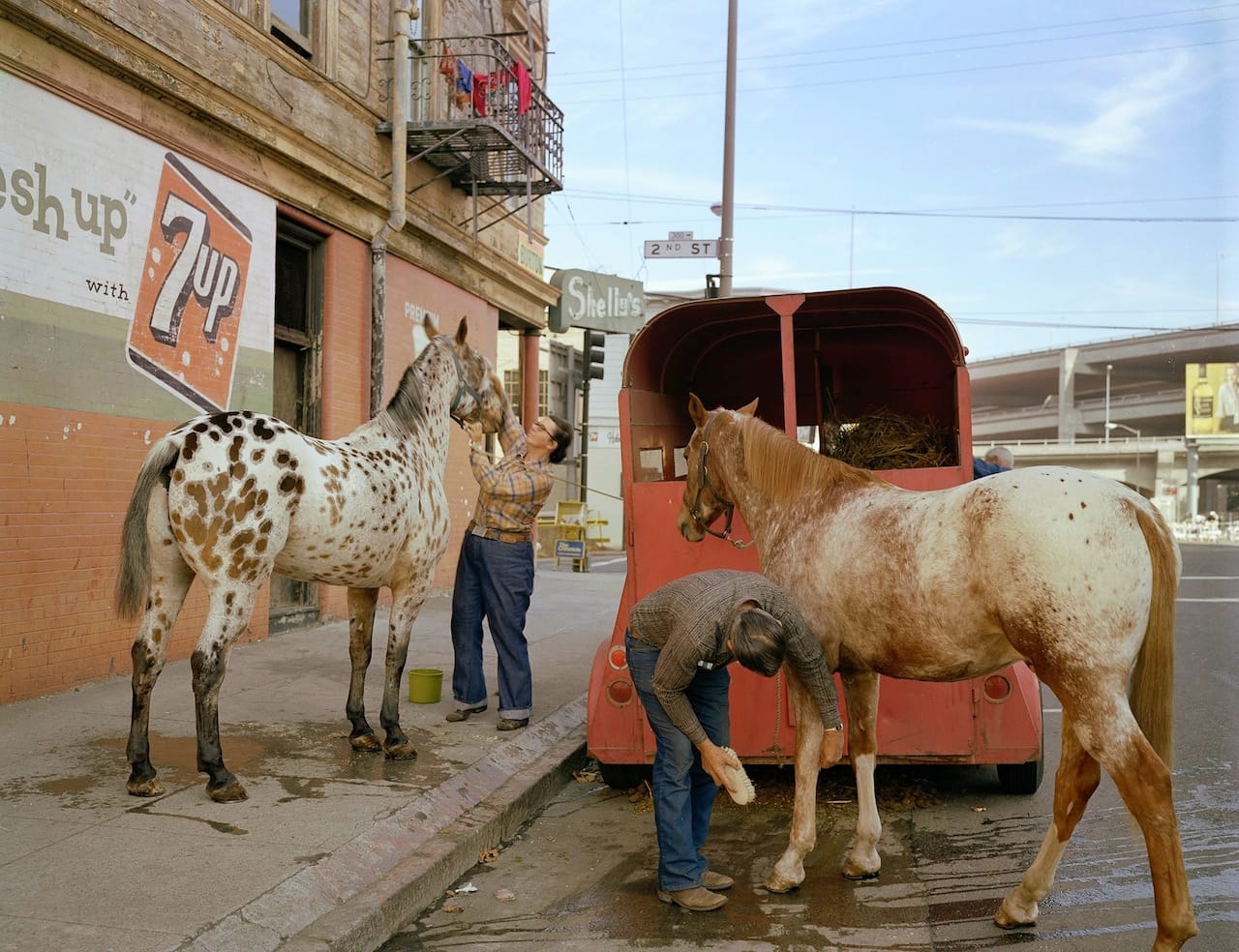 Janet Delaney, "Skip Wheeler and his wife groom their horses after Veterans Day Parade, Folsom at 2nd Street" 