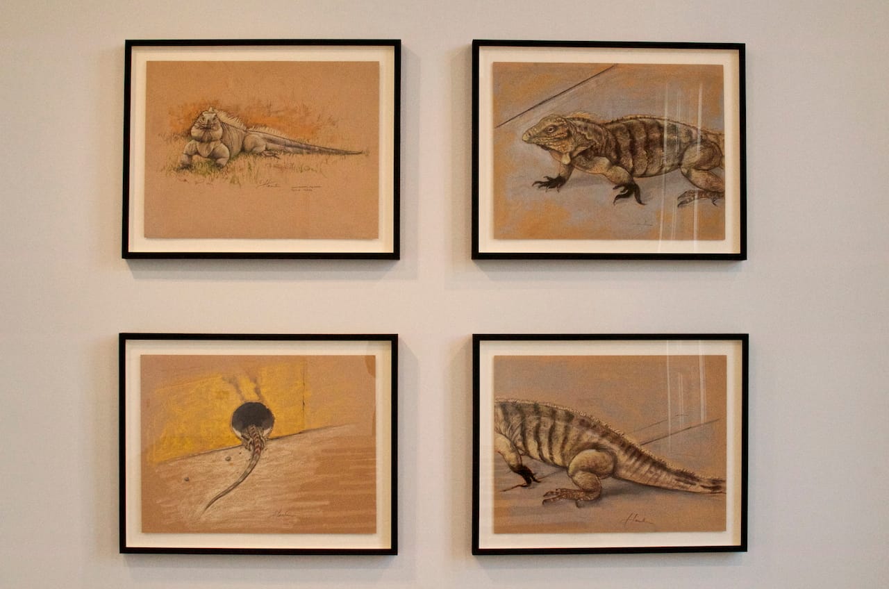 -Cyclura nubila- (2014), Janet Hamlin commissioned by David Birkin