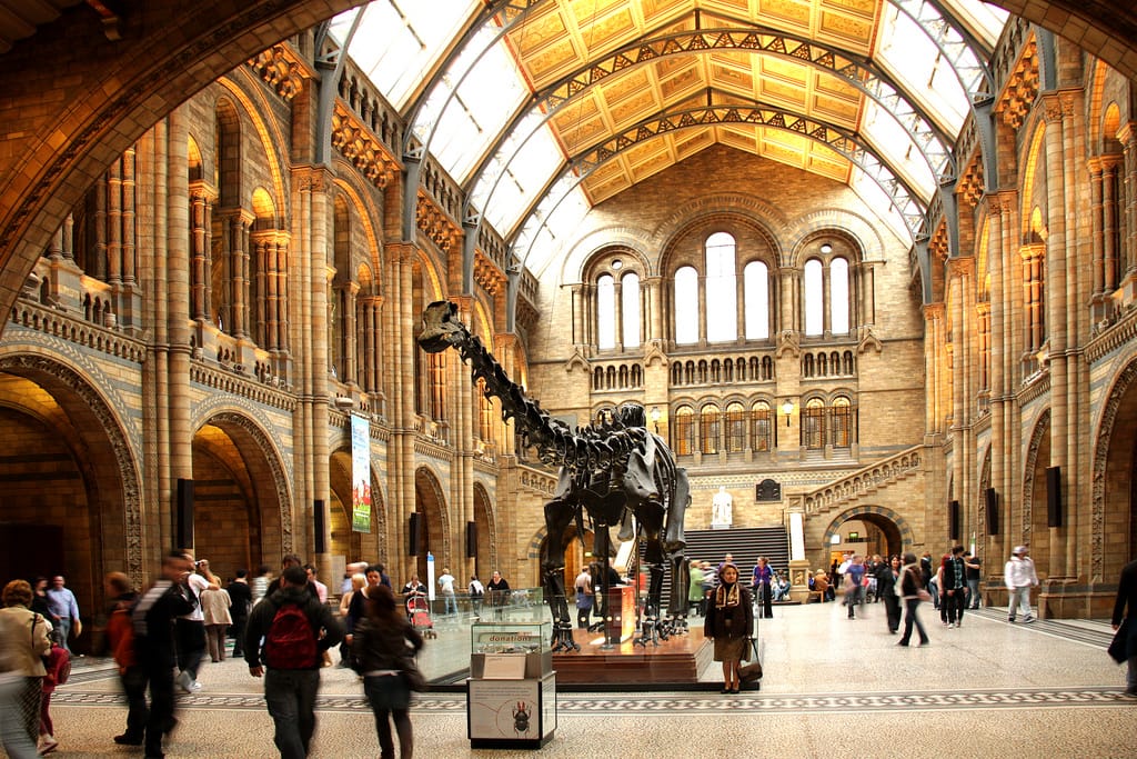 Dippy in the main hall of the Natural History Museum (photograph by Allan Henderson, via Flickr)