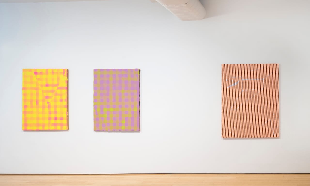 Installation View: Cheryl Donegan Paintings and Videos. All images courtesy of Sgorbati Projects