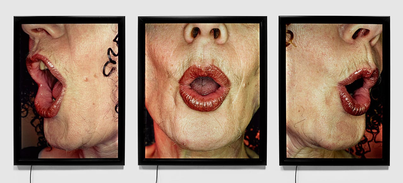 Suzy Lake, "Beauty at a Proper Distance/In Song" (2001–02), color transparencies (3), 140 x 122 cm each, collection of the artist (courtesy Georgia Scherman Projects, Toronto, ©  Suzy Lake)