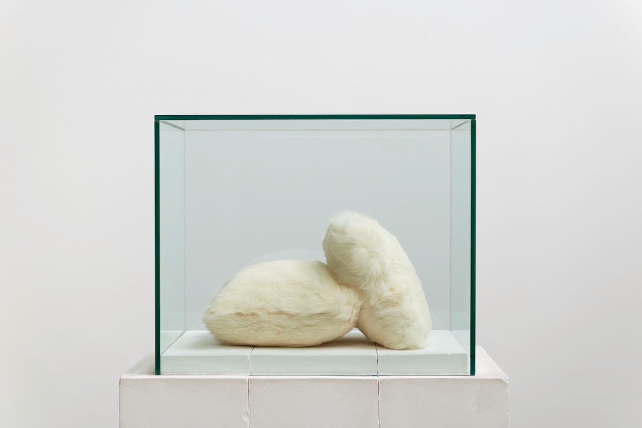 Detail of Edgard de Souza, "Coelhinhos" (1997)