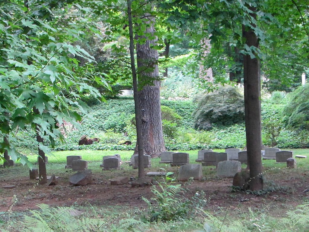 Friends Quaker Cemetery in Prospect Park (photograph by the author)
