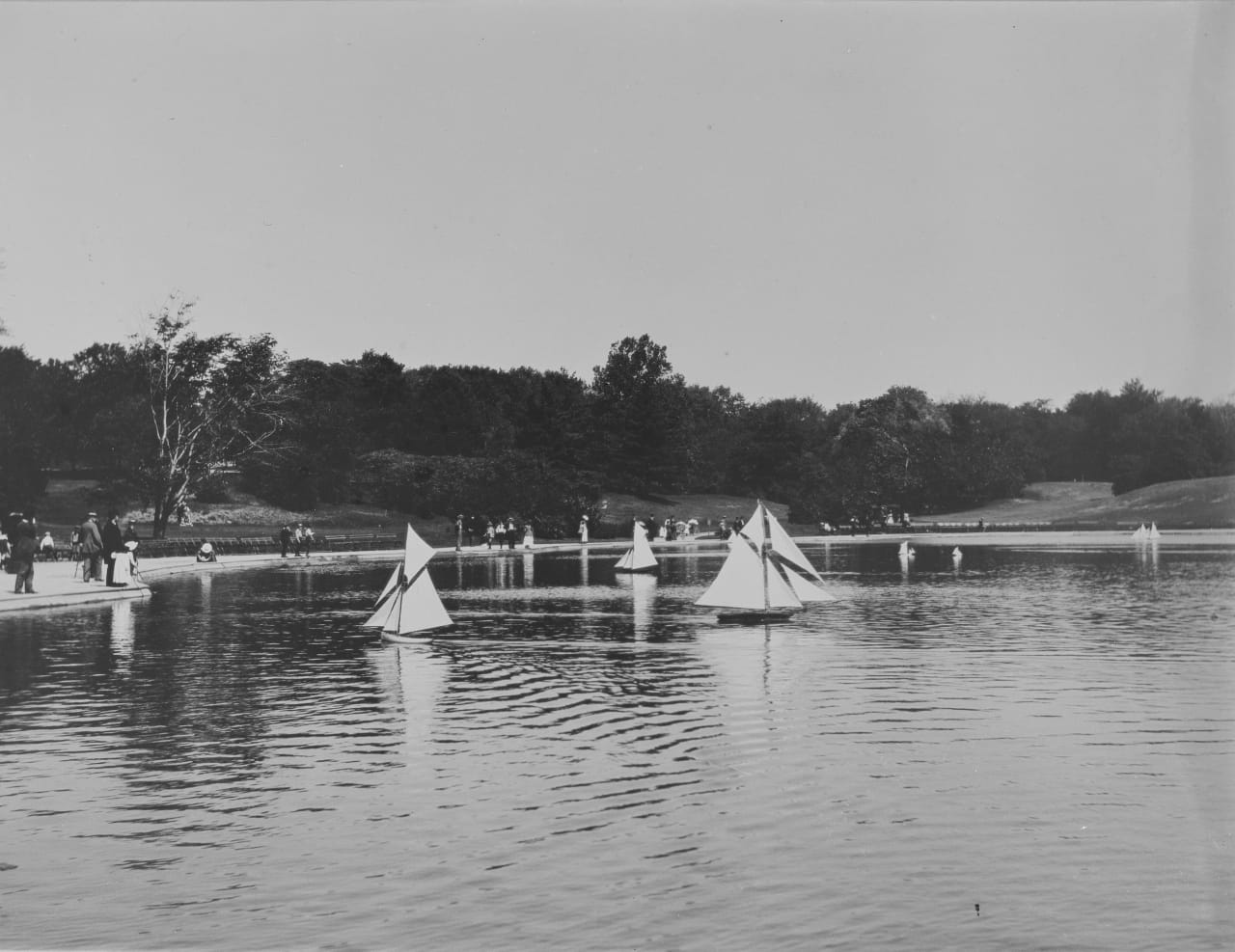 Central Park boating (1903) (via Thomas Warren Sears photograph collection, Archives of American Gardens)