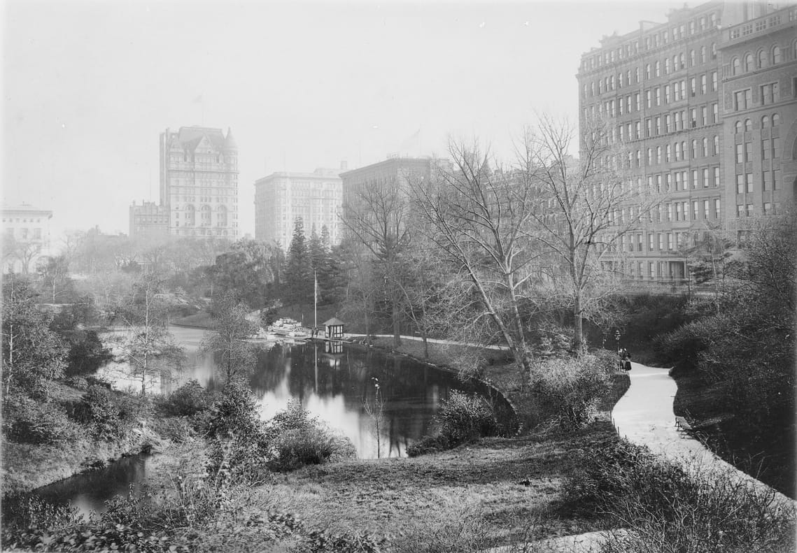 Central Park slide (via Thomas Warren Sears photograph collection, Archives of American Gardens)