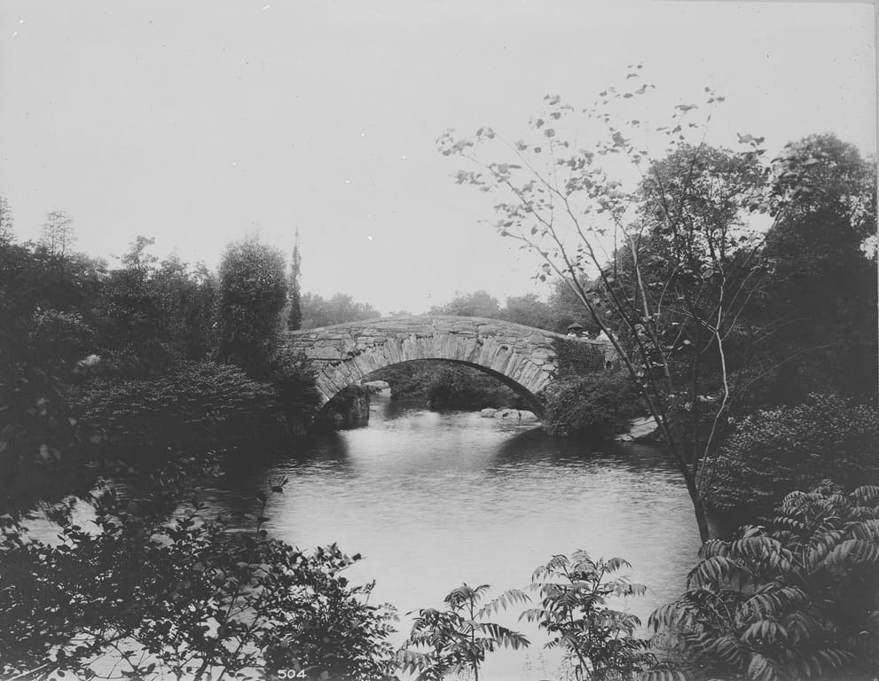 Central Park slide (via Thomas Warren Sears photograph collection, Archives of American Gardens)