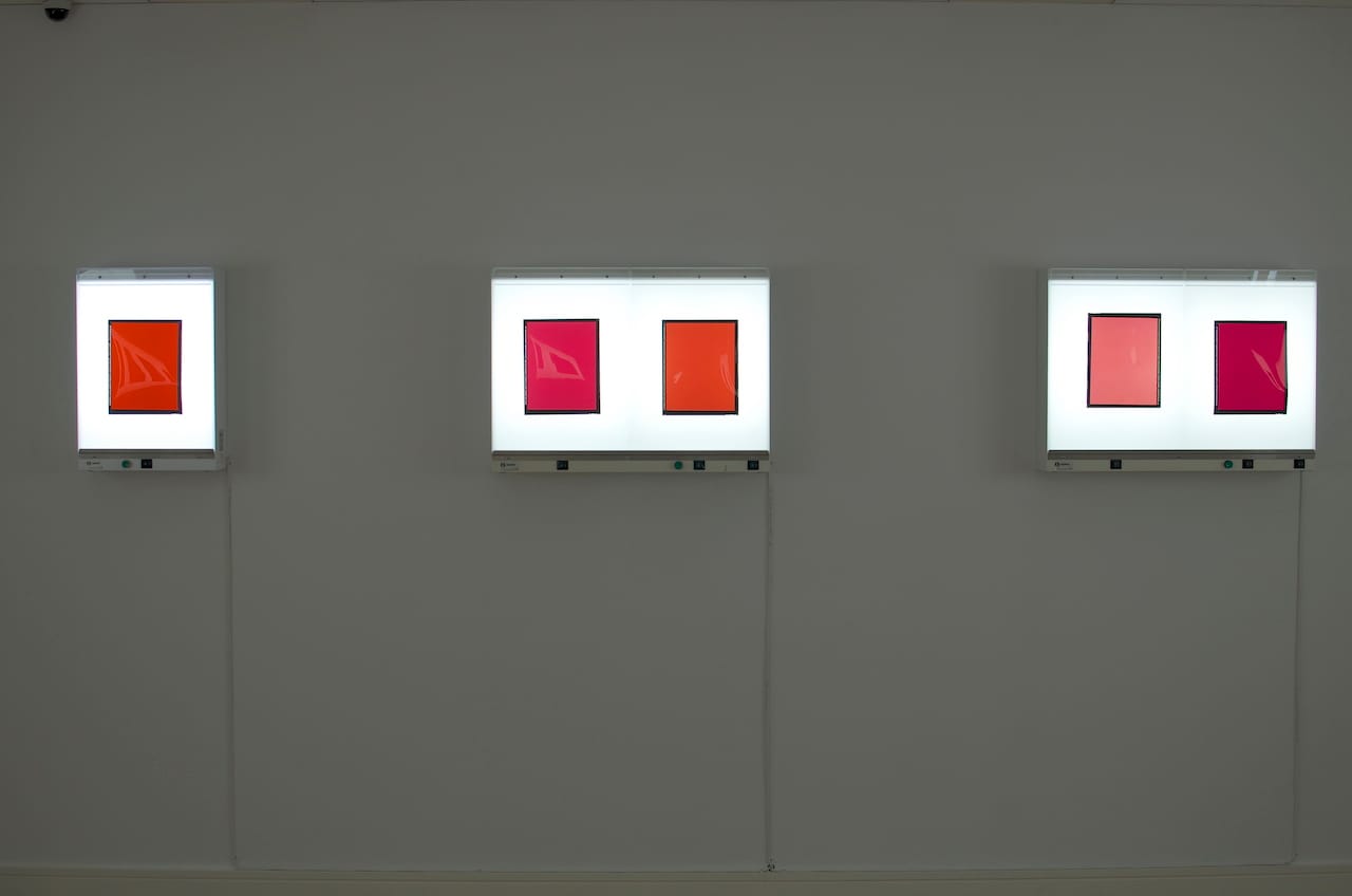 Installation View, Mouths at the Invisible Event, showing -Profiles- (2011)