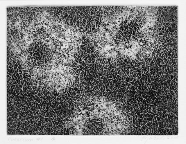 Patrick Jacobs, “Fusarium #1” (2015), Copper plate etching on paper, Image 3 x 4 inches, Paper 9 x 9 inches Image courtesy of the artist and Pierogi Gallery)