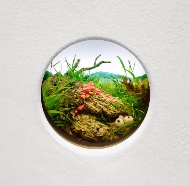 Patrick Jacobs, “Pink Slime Mold with White Puffballs” (2015), Styrene, acrylic, gouache, cast neoprene, paper, ash, talc, starch, polyurethane foam, acrylite, vinyl film, wood, steel, lighting, BK7 glass. Interior box 14.75 x 11.25 x 9.25 inches, Diorama viewed through 2-inch window (Image courtesy of the artist and Pierogi Gallery)