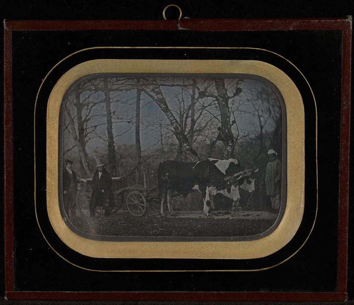 Jean-Gabriel Eynard, "Jean-Gabriel Eynard with two servants and an ox-drawn wagon" (1850), daguerreotype (J. Paul Getty Museum, via Wikimedia)