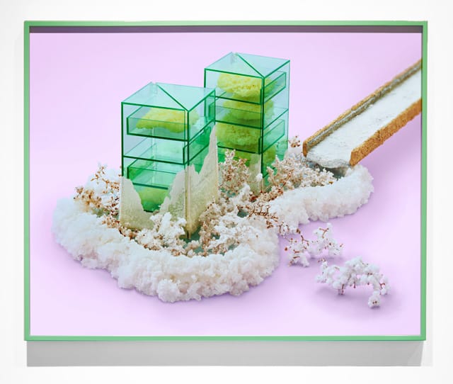 Benjamin Lord, "The New Retail Mycology VII" (2015). All images courtesy of Benjamin Lord.