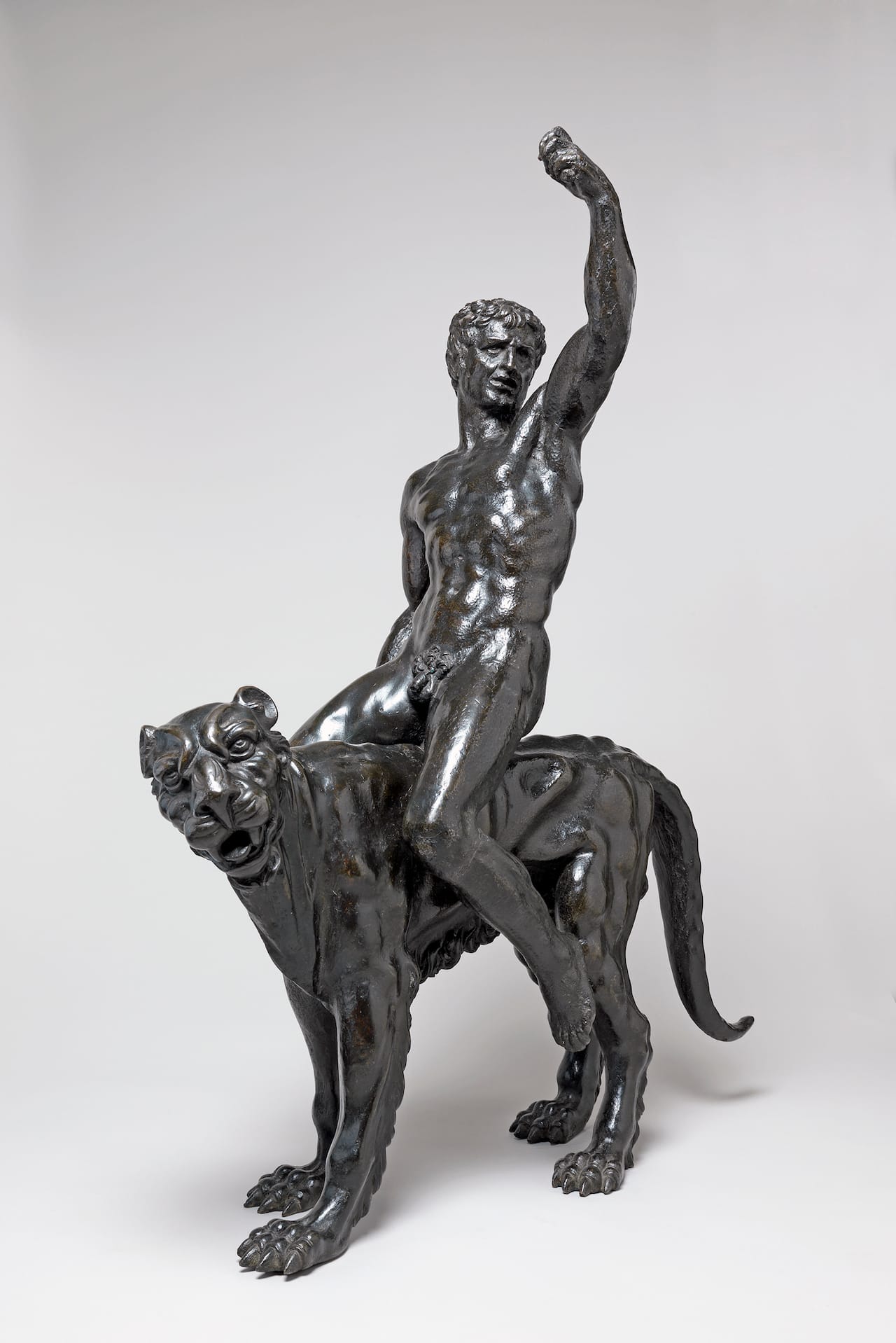 "Nude bacchants riding panthers" (c.1506–08) (all images copyright Fitzwilliam Museum, Cambridge, unless noted otherwise)