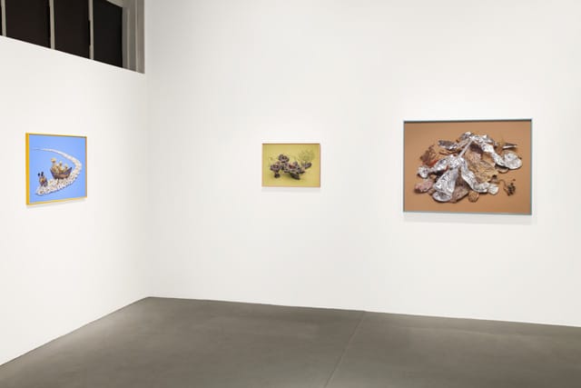 Benjamin Lord, installation view from The New Retail Mycology, on view at Monte Vista Projects, Los Angeles