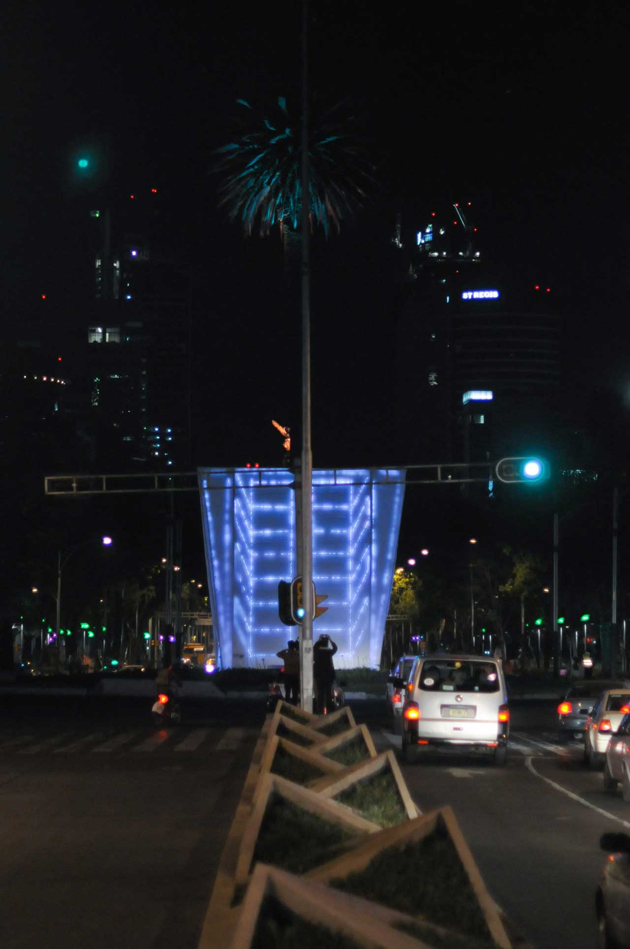 Visual System, "“Potted Palm”