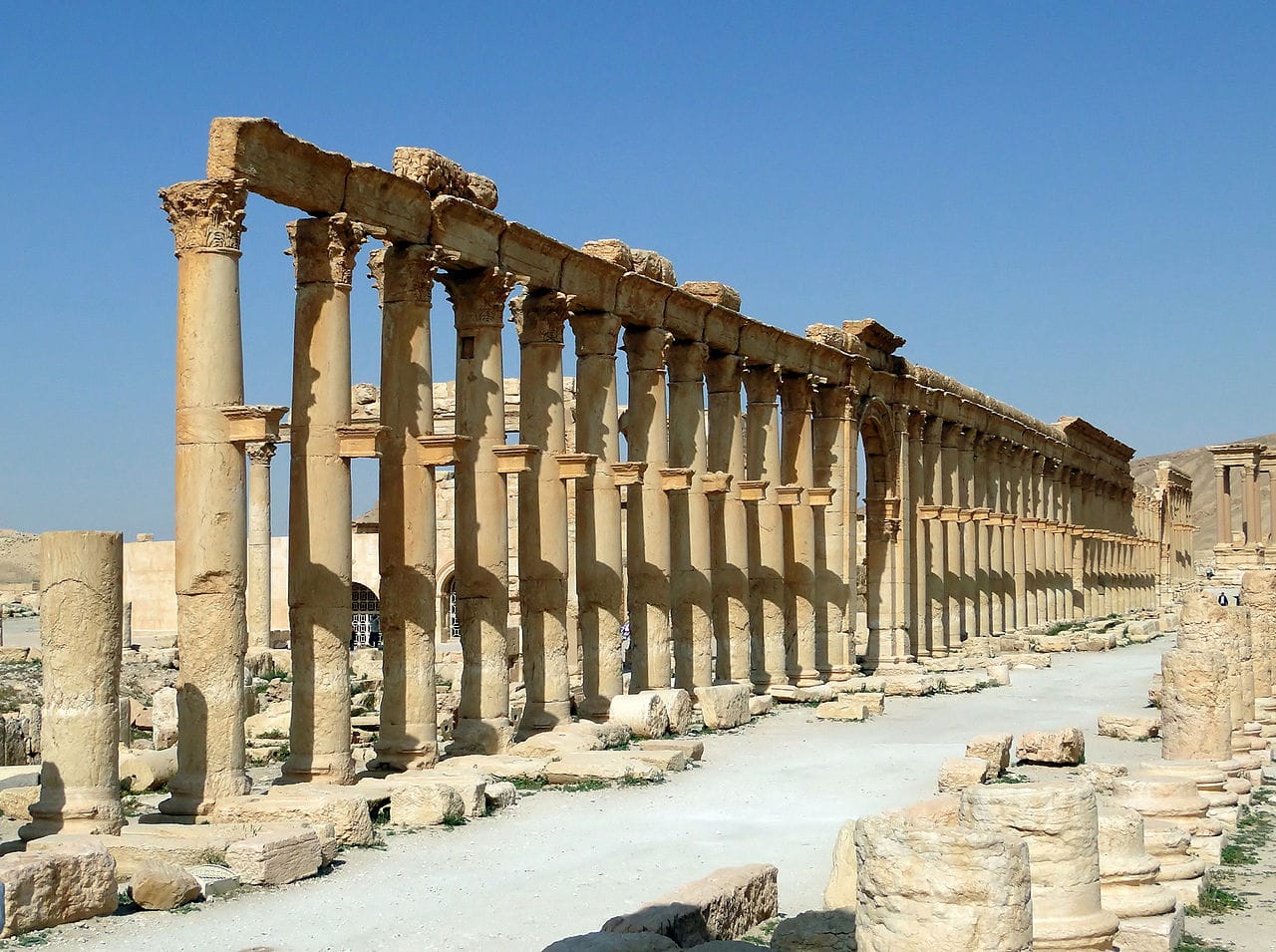 The Decumanus Maximus at the ancient site of Palmyra in the Syrian desert, which has been extensively looted. (photo by Bernard Gagnon via Wikimedia Commons)