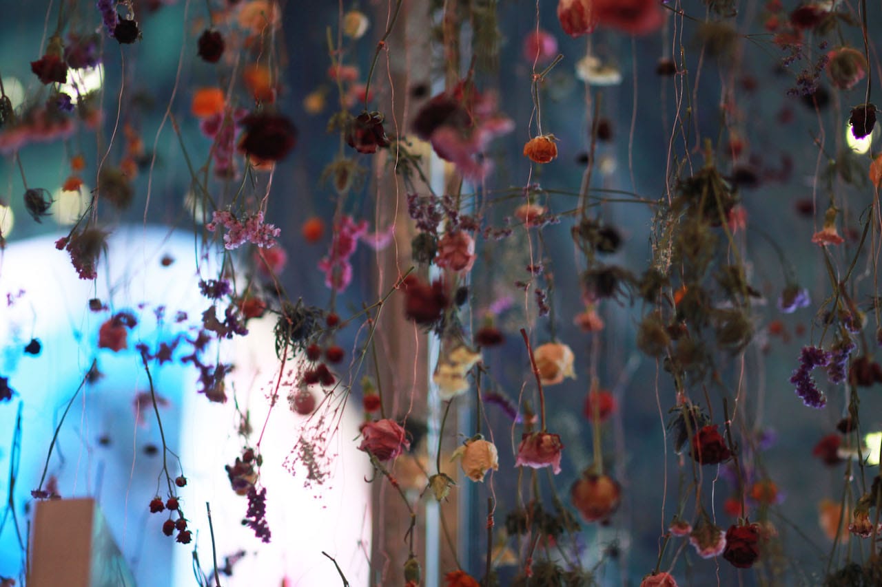 Rebecca Louise Law, " Flowers 2015: Outside In" (2015)