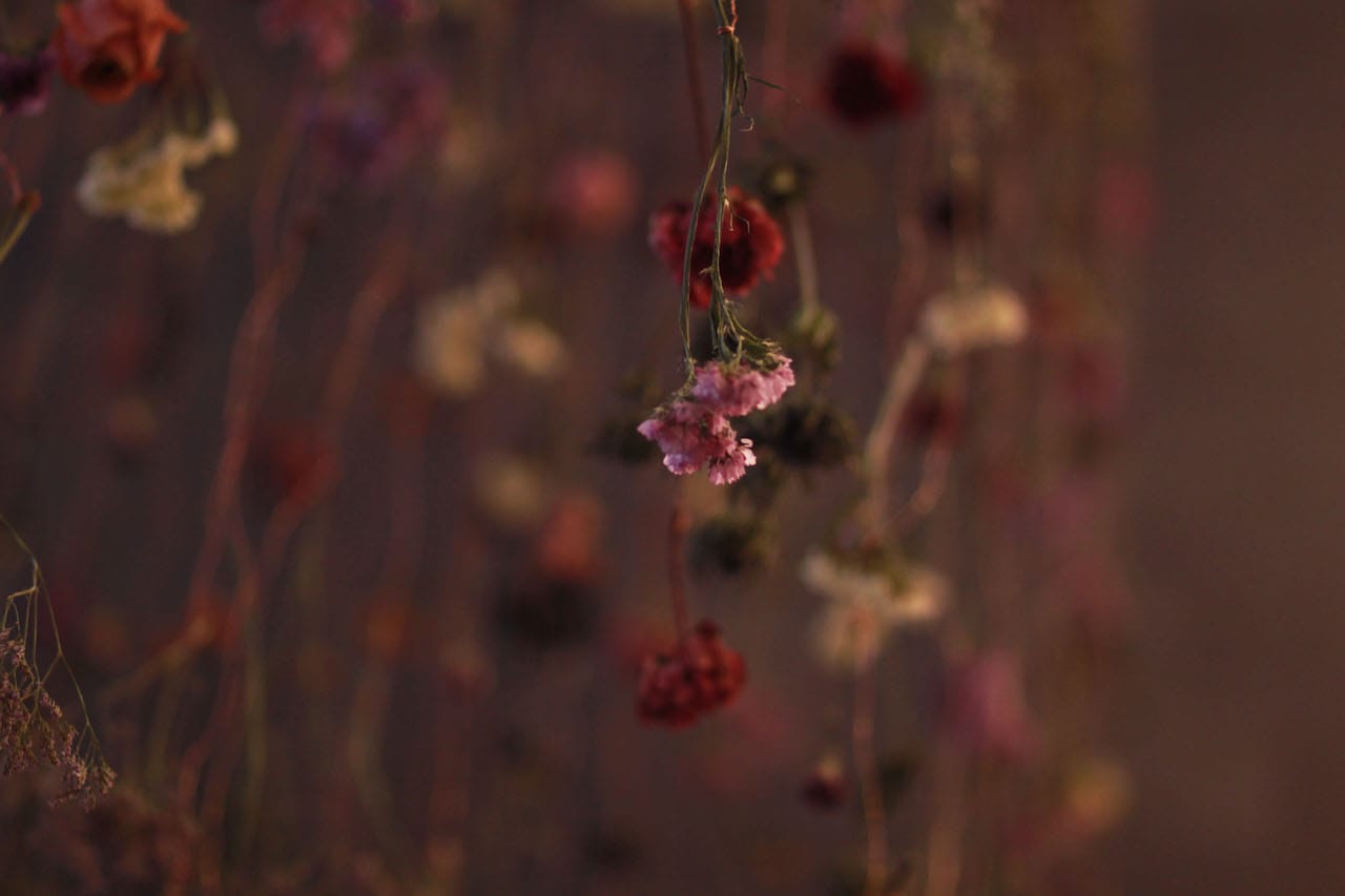 Rebecca Louise Law, " Flowers 2015: Outside In" (2015)