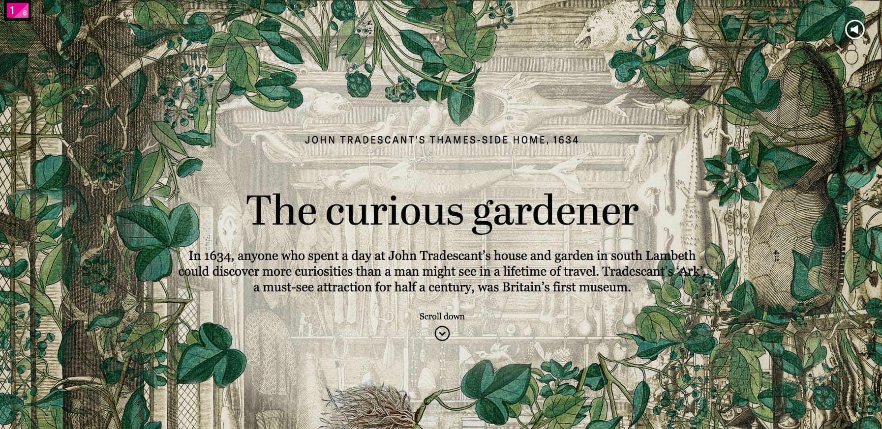 Chapter on "The Curious Gardener" from "The Collectors (screenshot by the author for Hyperallergic)