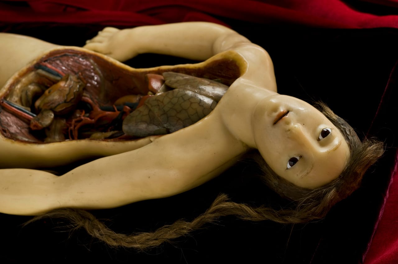 Anatomical Venus by Clemente Susini from Florence, similar to what was in Joseph Kahn's anatomical museum (1771-1800) (courtesy Wellcome Library)