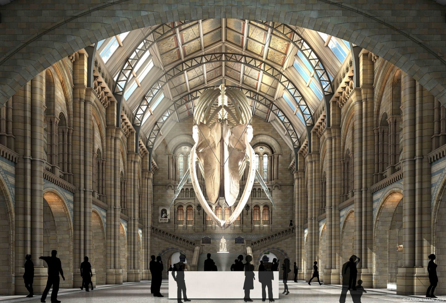 Rendering of the blue whale skeleton in the main Hintze Hall of the Natural History Museum in London (courtesy the museum)
