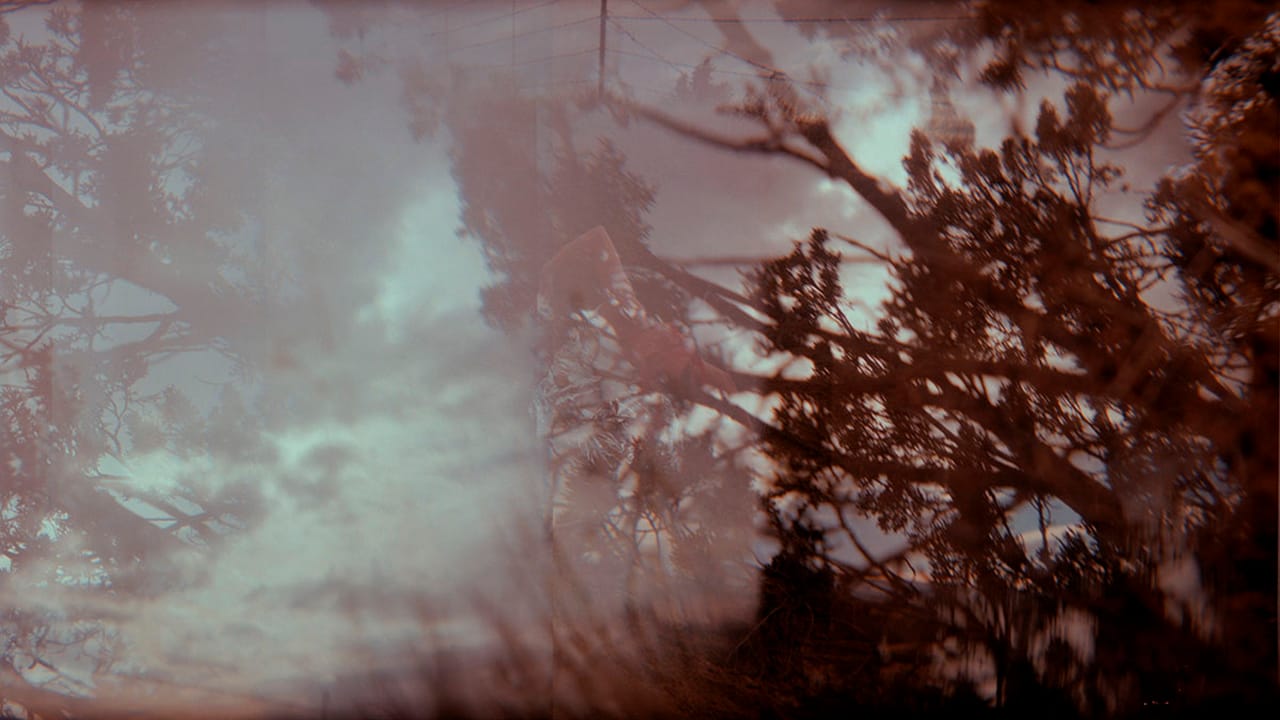 Quintan Ana Wikswo, "FIELDWORK"