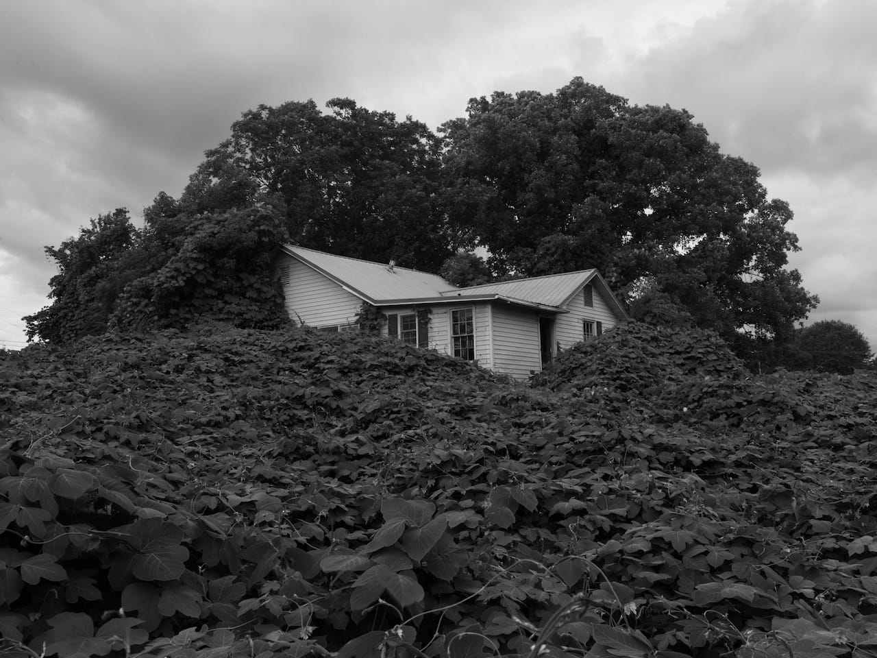 Alec Soth, "Near Gainesville, Georgia", 2014. Pigment print, 54 x 72 inches