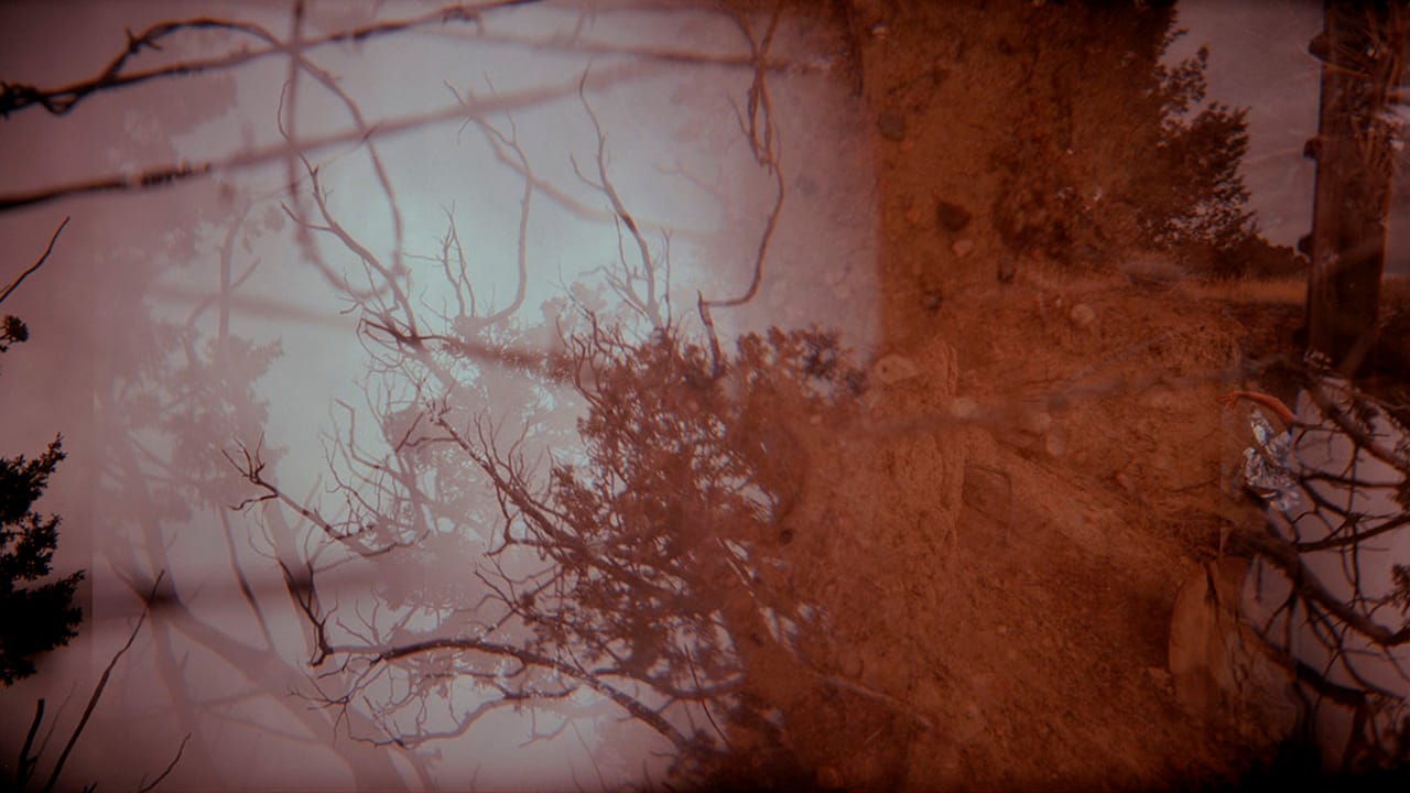 Quintan Ana Wikswo, "FIELDWORK"