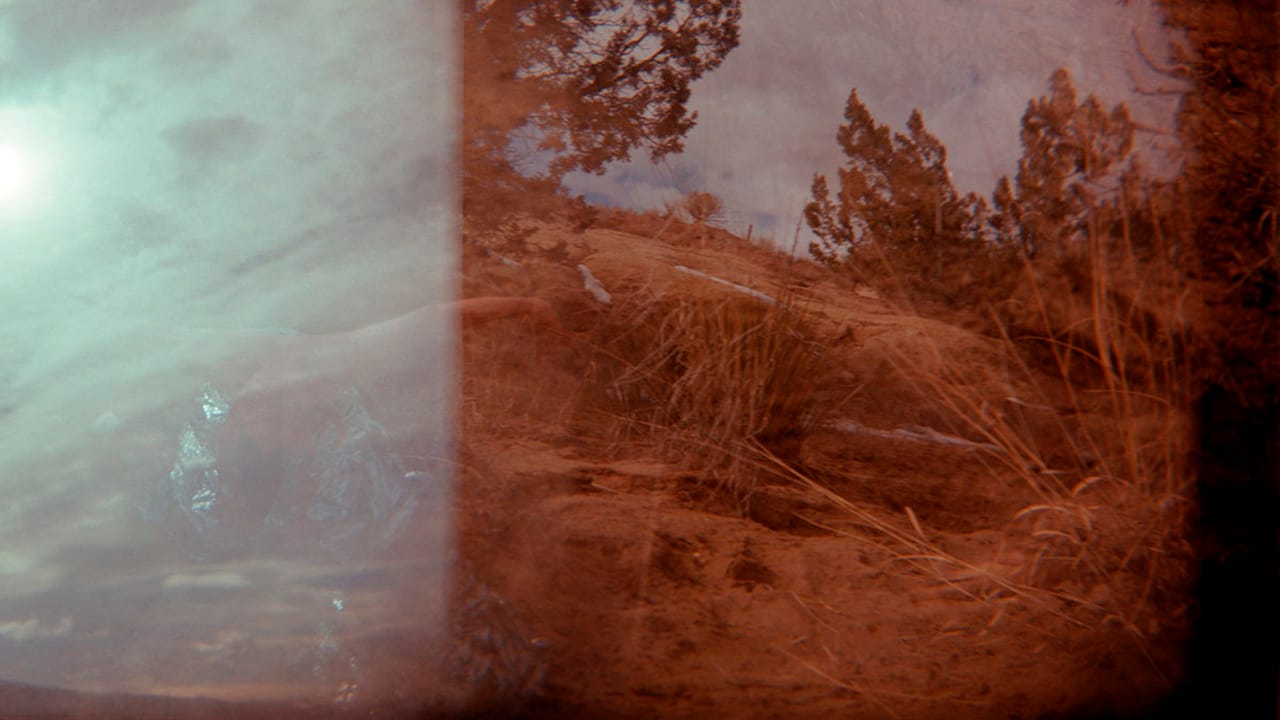 Quintan Ana Wikswo, "FIELDWORK"