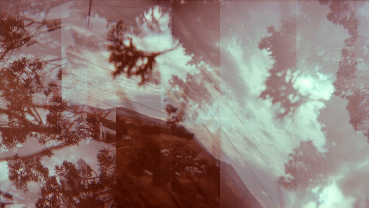 Quintan Ana Wikswo, "FIELDWORK" (all images courtesy the artist unless otherwise noted)