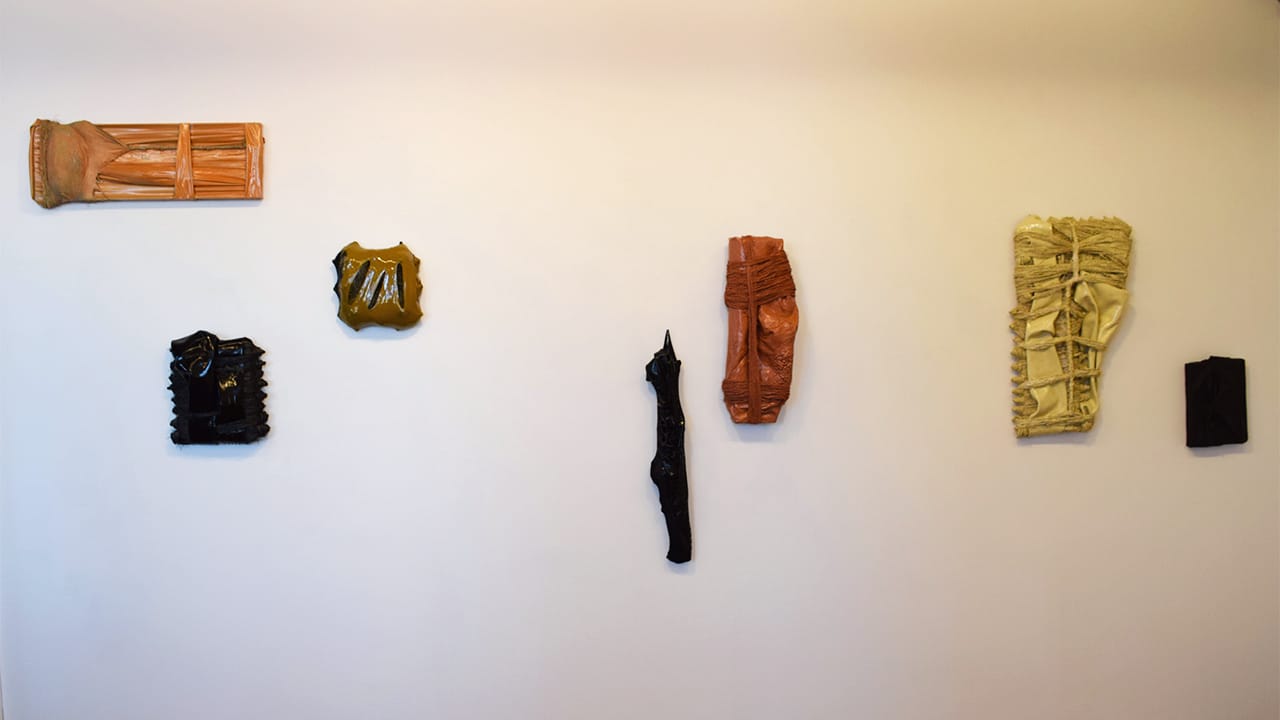 Installation view of Amy Giovanna Rinaldi's 'New Objects' at Sushi Bar Gallery