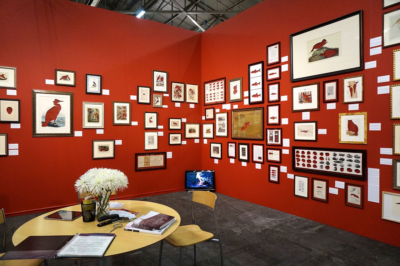 Brandon Ballengée's 'Frameworks of Absence' in the Ronald Feldman Fine Arts booth at the 2015 Armory Show (photo by Jillian Steinhauer/Hyperallergic)