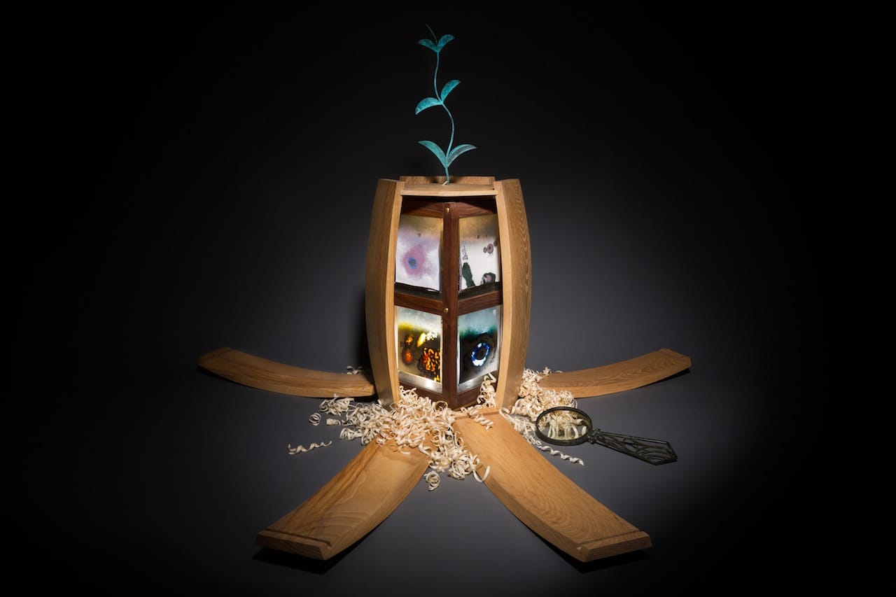 Brolly Campbell ODwyer